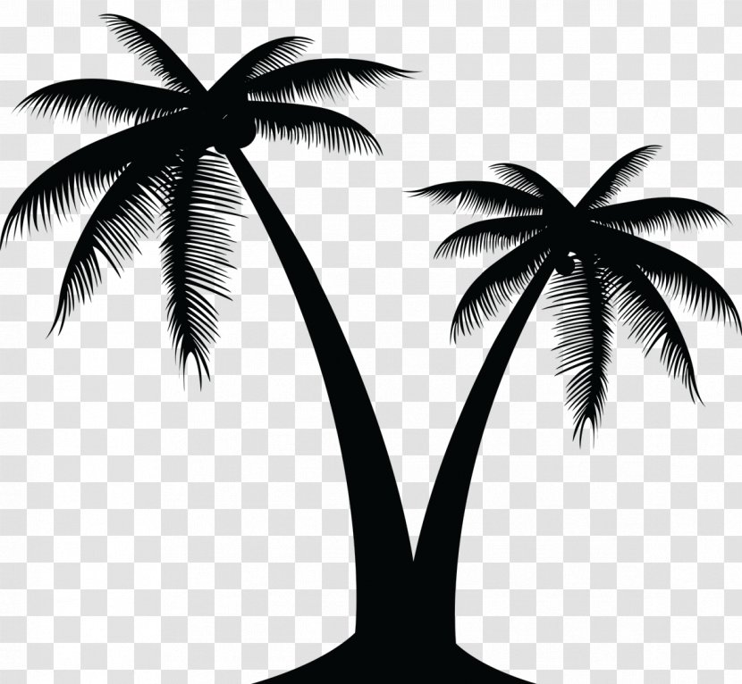 Vector Graphics Palm Trees Clip Art Silhouette - Coconut - Seascape Icons Transparent PNG