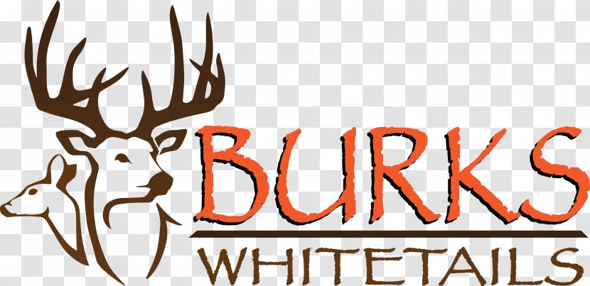 White-tailed Deer Hunting Outfitter - Dog Transparent PNG