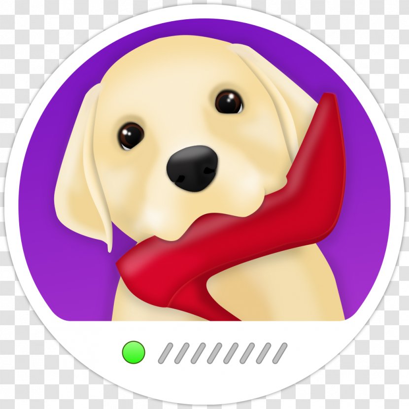 Labrador Retriever Puppy Dog Breed Companion Transparent PNG