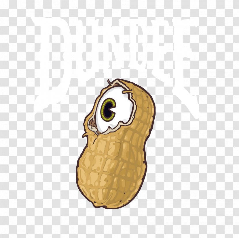 Owl Beak - Bird Of Prey Transparent PNG