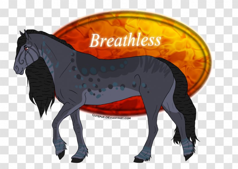 Mustang Stallion Pony Colt Mare - Peafowl Transparent PNG