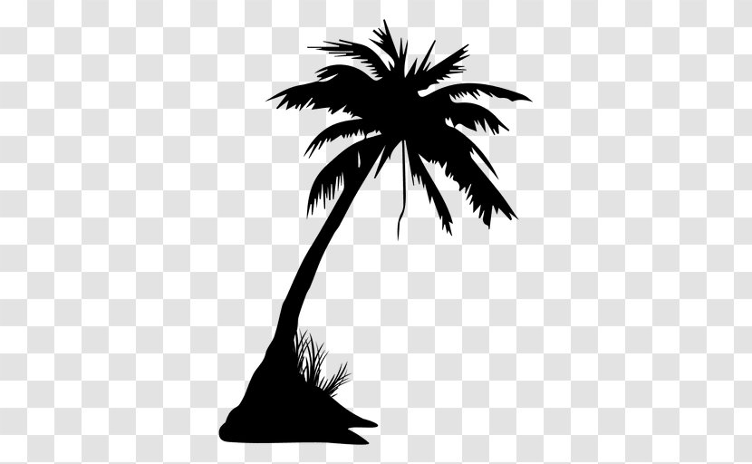 Arecaceae Tree Drawing Clip Art - Animation - Summer Coconut Grove Play Background Transparent PNG