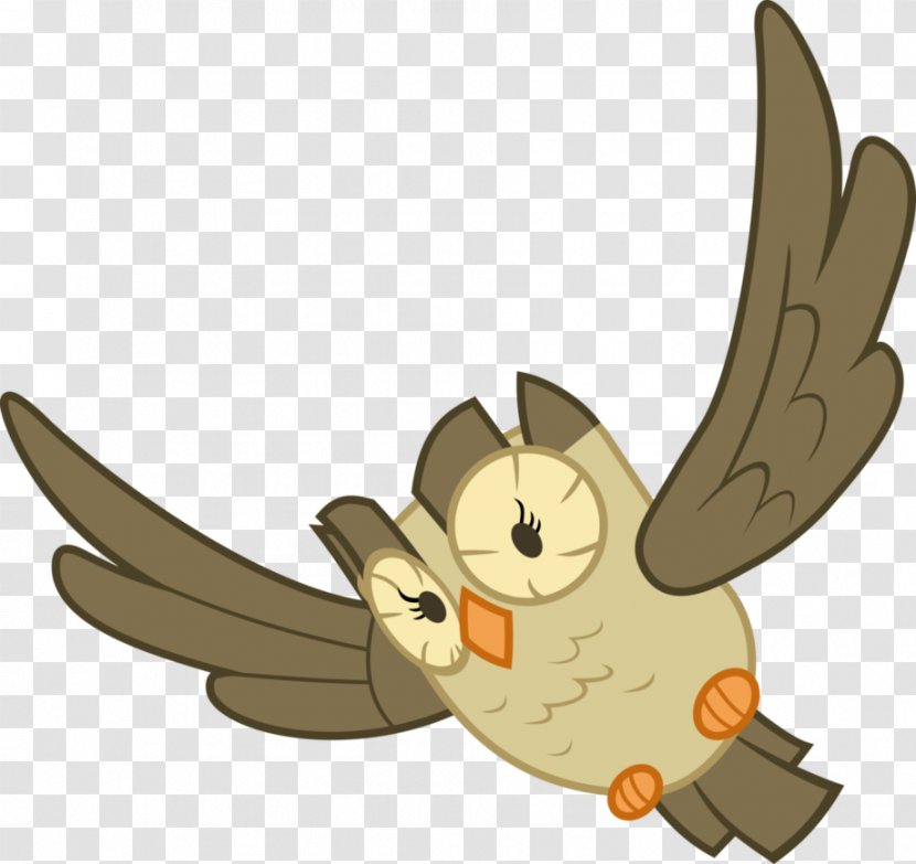 Rabbit Owl Horse Bird Clip Art - Carnivoran Transparent PNG