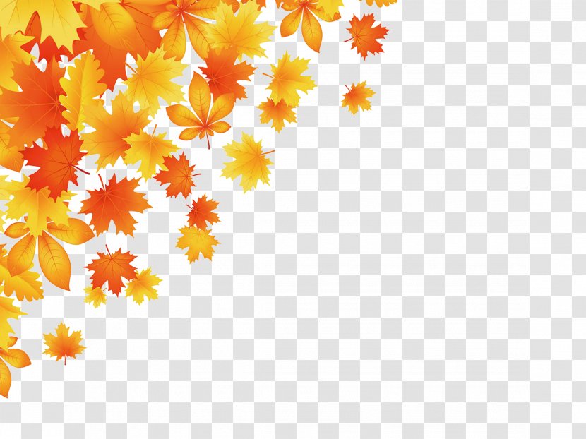 Autumn Leaf Color Royalty-free - Flower Transparent PNG
