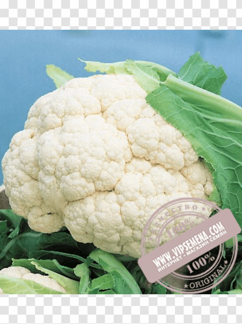 Cauliflower Seed Cultivar Vilmorin Cruciferous Vegetables Transparent PNG