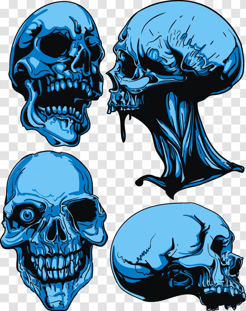 Skull Royalty-free Euclidean Vector - Shutterstock Transparent PNG