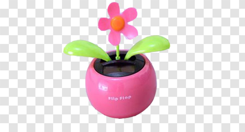 Designer Flower - Pink - Sunflower Transparent PNG
