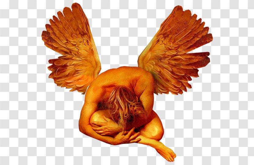 Photography Angel Man - Enthusiasm Transparent PNG