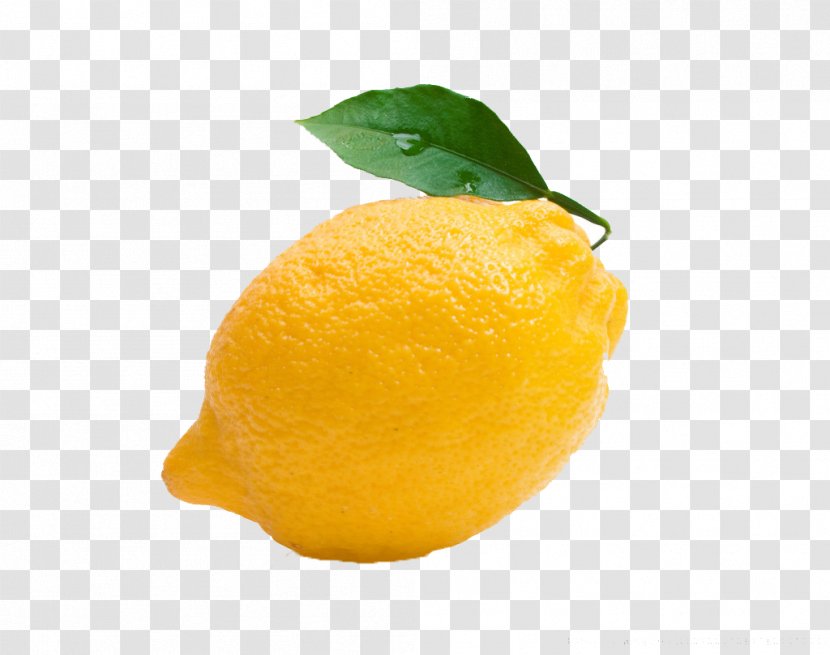 Clementine Lemon Tangerine Tangelo - Sweet - Fresh Transparent PNG