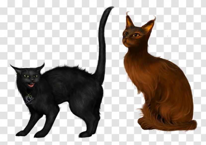 Kurilian Bobtail Kitten Black Cat Clip Art - Asian - Cats Transparent PNG