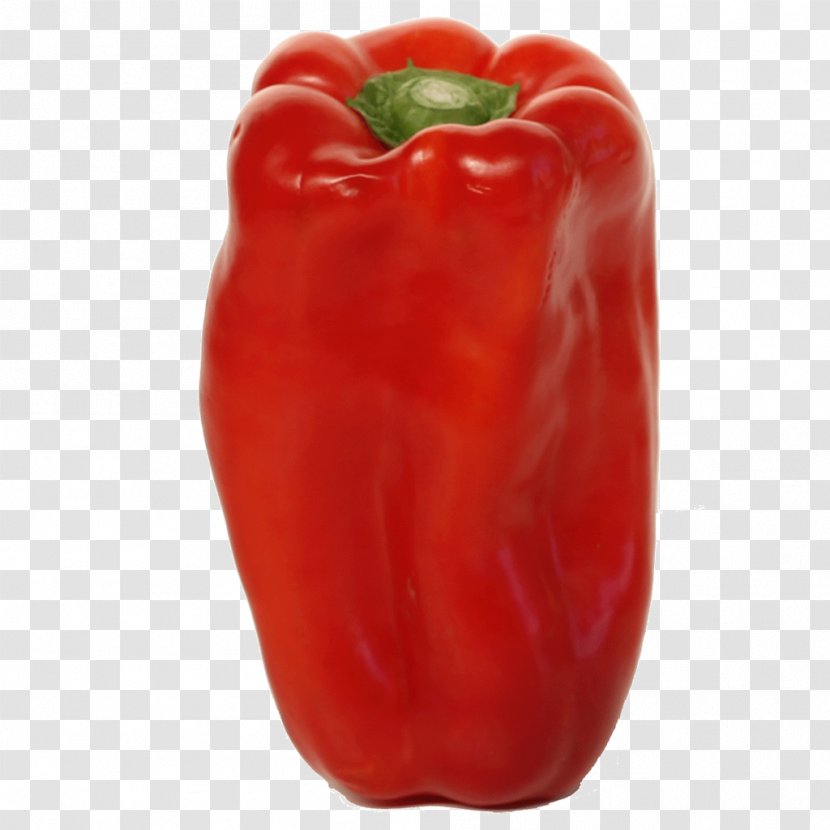 Chili Pepper Red Bell Vegetable Peperoncino - Ingredient Transparent PNG