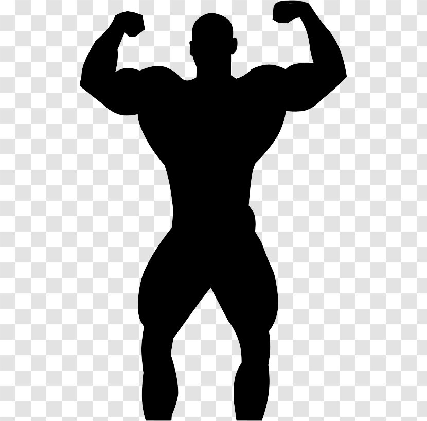 Silhouette Professional Bodybuilding Physical Fitness - Black And White Transparent PNG