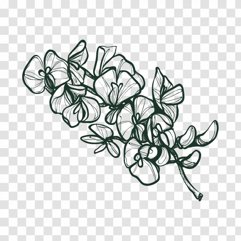 Drawing Flower Image Sketch Vector Graphics - Drawings - Massive Flowers Transparent PNG