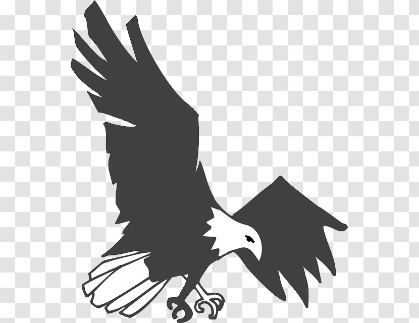 Stock Photography Eagle Drawing Clip Art - Animal Claws Transparent PNG