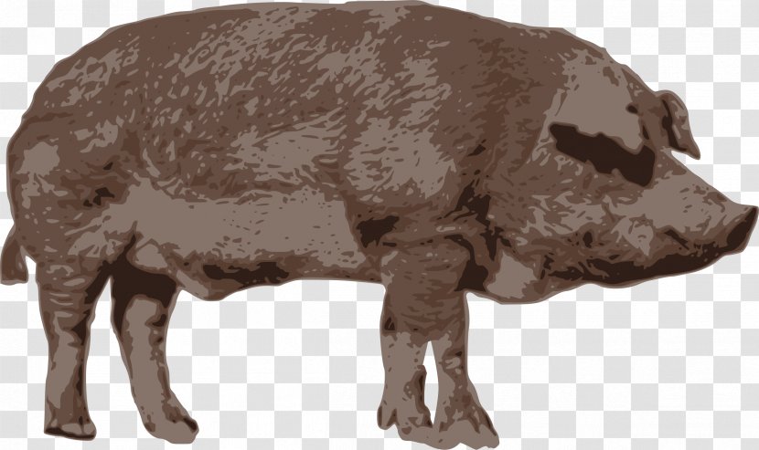 Domestic Pig Openclipart Clip Art Image - Livestock - Boar Stamp Transparent PNG