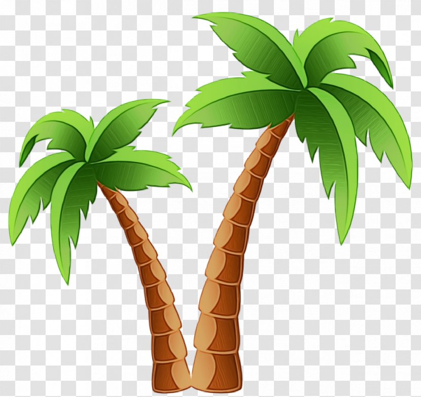 Palm Tree - Houseplant - Woody Plant Flowerpot Transparent PNG