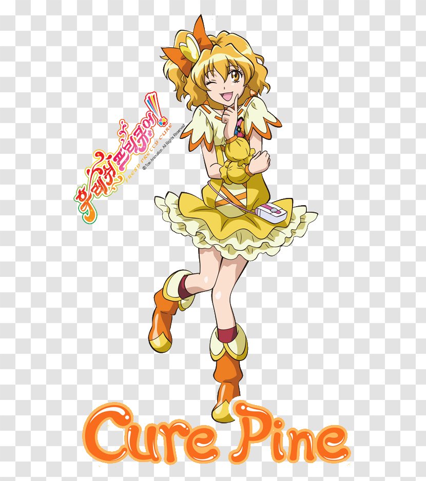 Inori Yamabuki Pretty Cure All Stars Television Toei Animation - Flower - Frame Transparent PNG