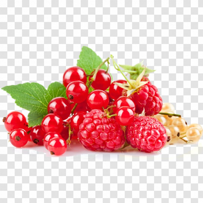 Redcurrant White Currant Blackcurrant Gooseberry - Fruit - Raspberry Berries Free Pull Material Transparent PNG