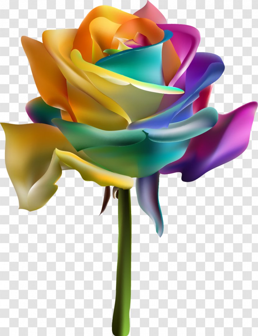 Rainbow Rose Garden Roses Euclidean Vector - Flowers Transparent PNG