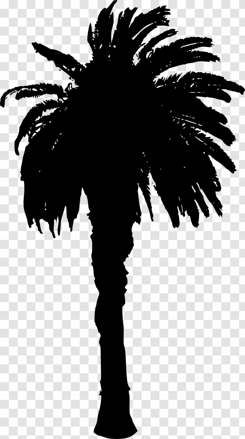 Asian Palmyra Palm Silhouette Arecaceae - Tree - Vector Transparent PNG