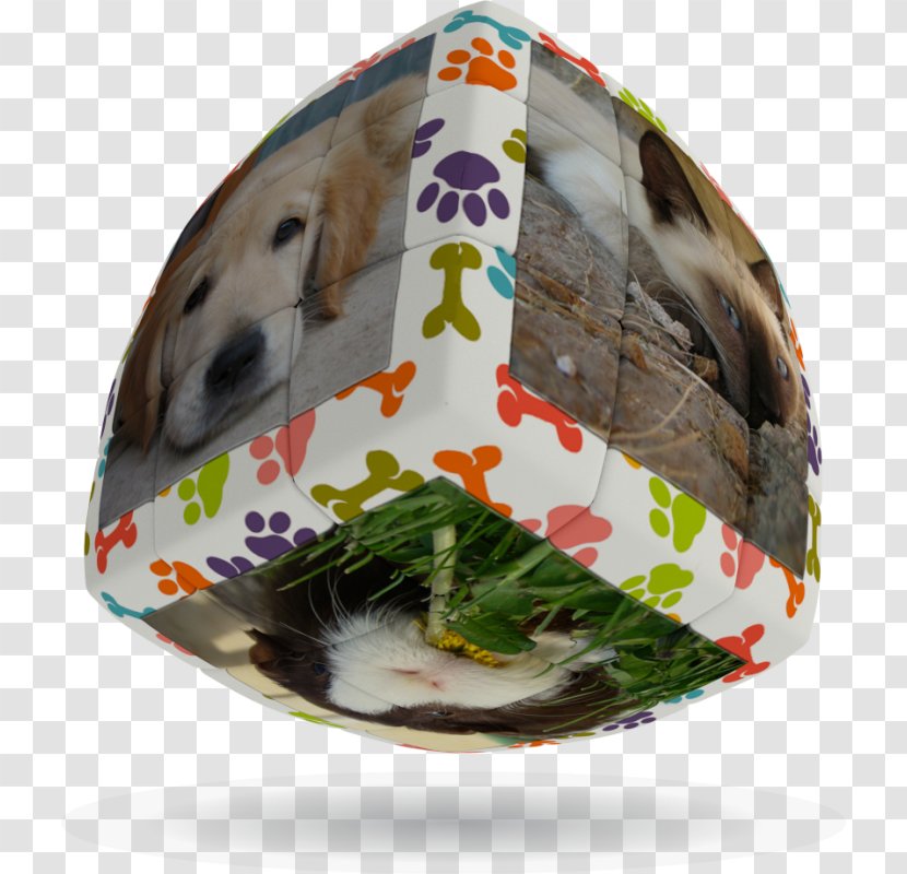 Cube Bikes Pet Animal Easter - Play Transparent PNG