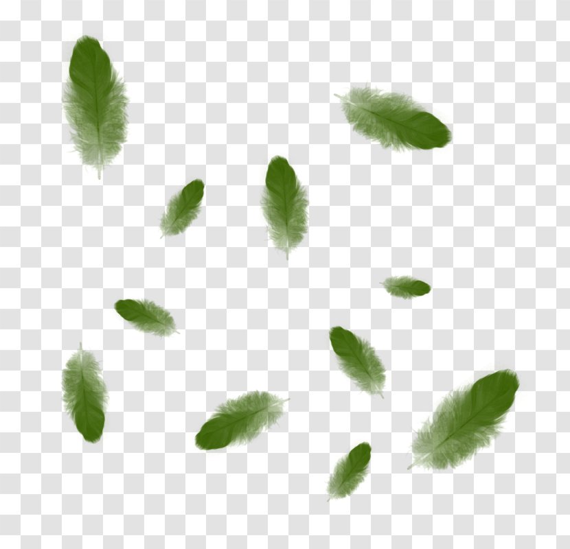 Green Leaf Color Clip Art Transparent PNG