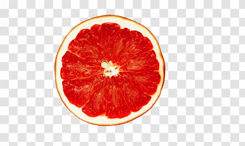 Blood Orange Grapefruit Juice Sea Breeze - Red Transparent PNG