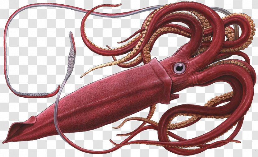 Octopus Giant Squid Colossal Clip Art - Gigantic - Ahle Bait Transparent PNG