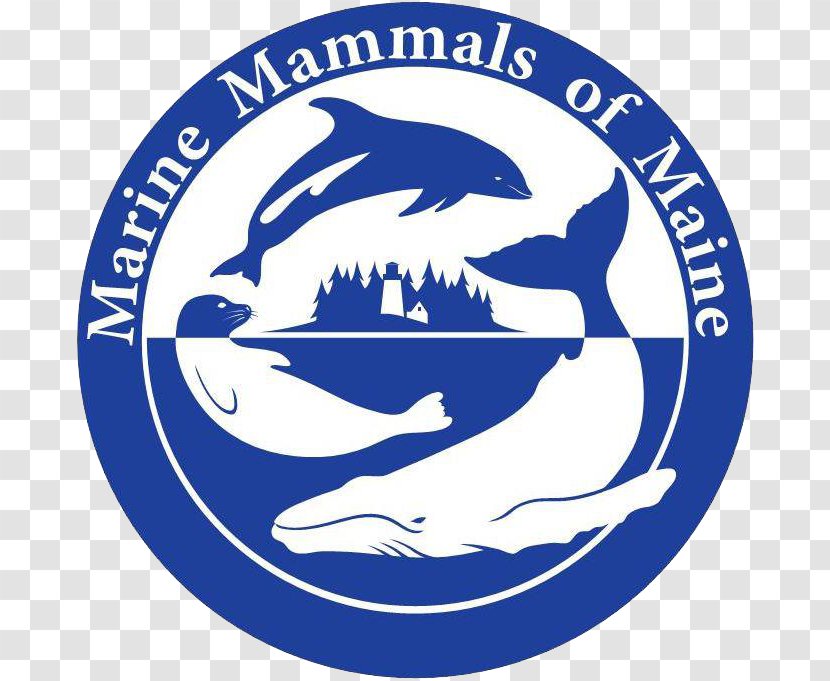 Marine Mammal Protection Act British Divers Life Rescue Animal - Cetacea - Whale Transparent PNG