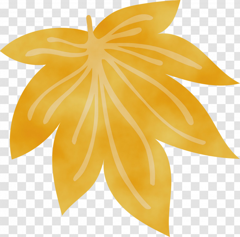 Carambola Leaf Yellow Symmetry Science Transparent PNG