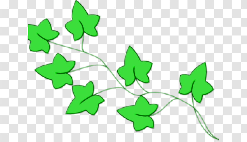 Leaf Plant Stem Butterflies Green Meter Transparent PNG