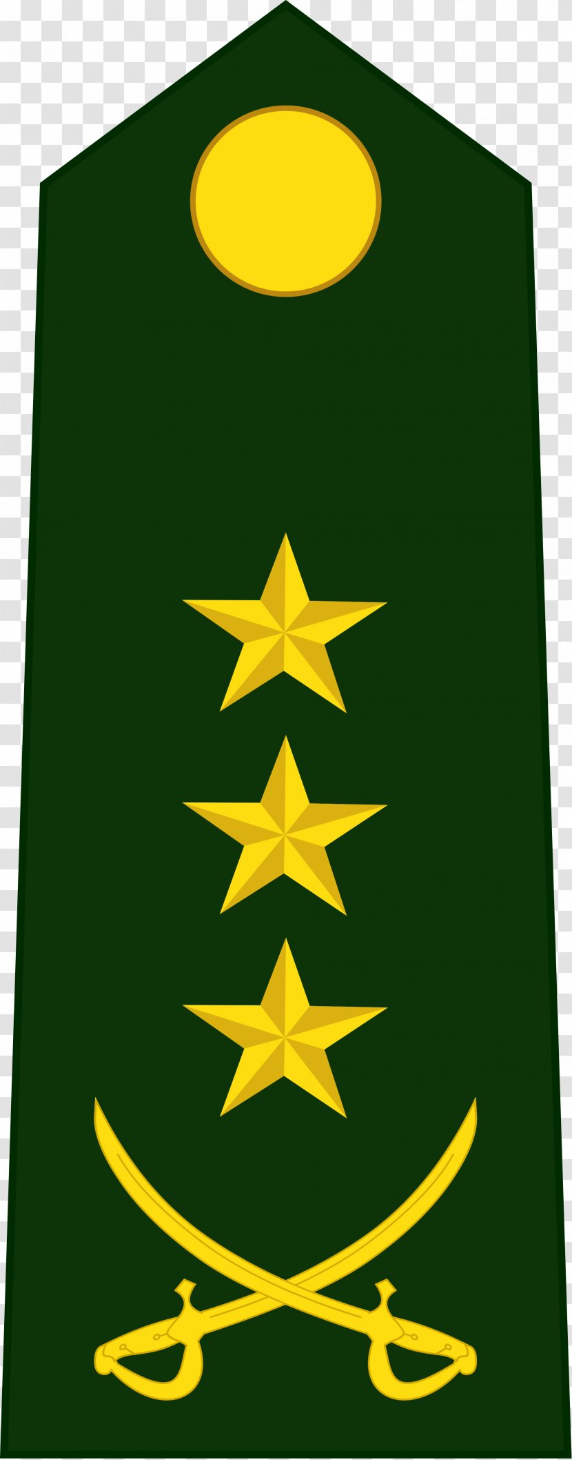 Military Rank Gradi Della Marina Cinese Colonel People's Liberation Army Navy - Flower Transparent PNG