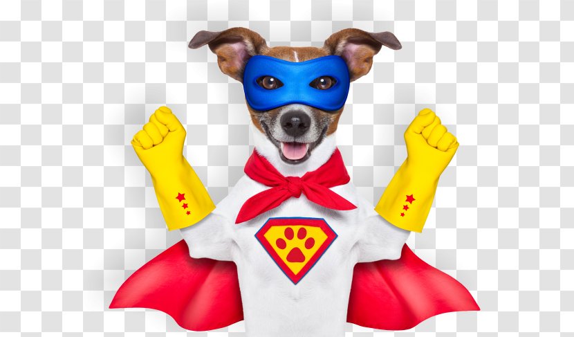 Dog Superhero Stock Photography Royalty-free - Snout - Wizard Cliparts Transparent PNG