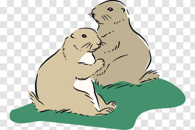 Prairie Dog Clip Art - Rodent Transparent PNG