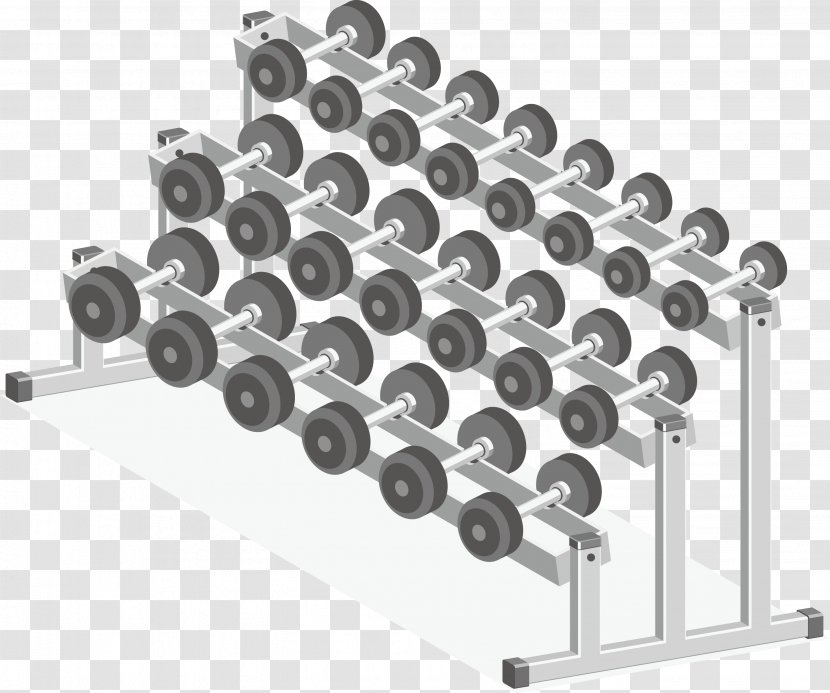 Physical Exercise Fitness Centre Euclidean Vector Illustration - Equipment - Dumbbells Transparent PNG