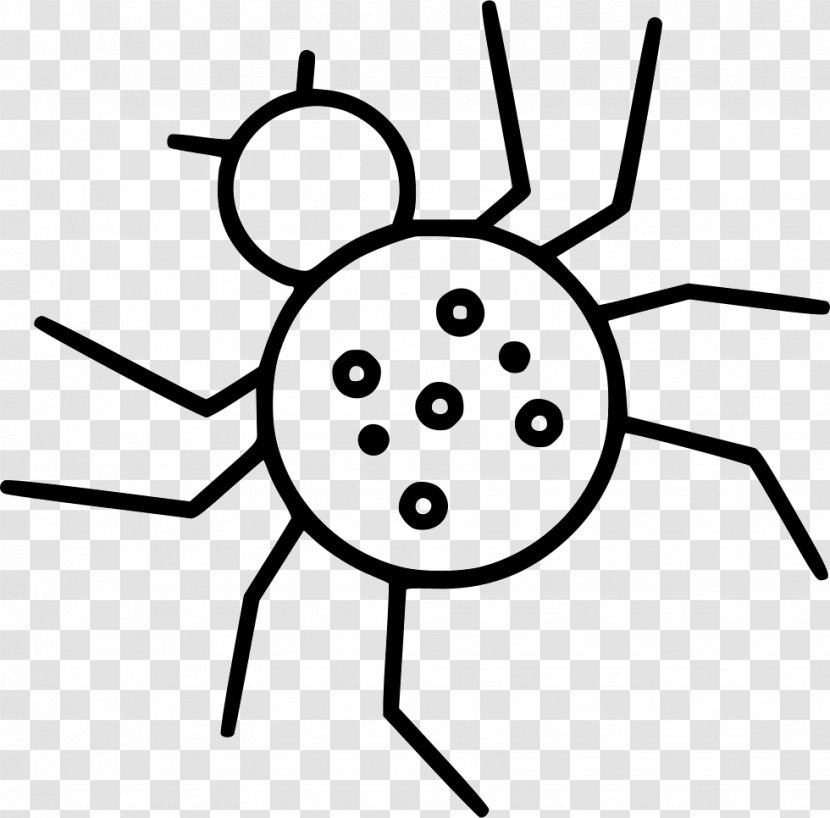 Vector Graphics Drawing Stock Photography Clip Art Illustration - Organism - Spider Infographic Transparent PNG