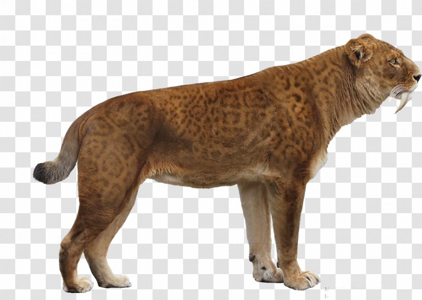 Lion Bison Antiquus Saluki Saber-toothed Tiger Cat - Prehistory Transparent PNG