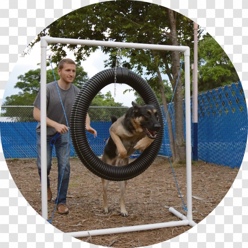 Swing Wheel Google Play - Recreation - Dog Agility Transparent PNG