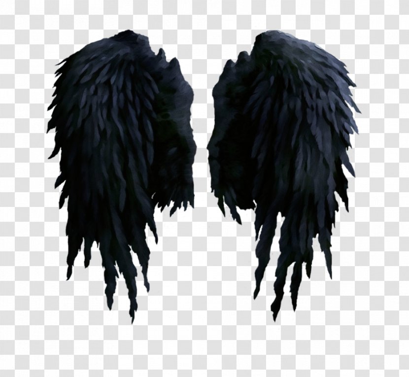 Feather - Wing - Shoe Transparent PNG