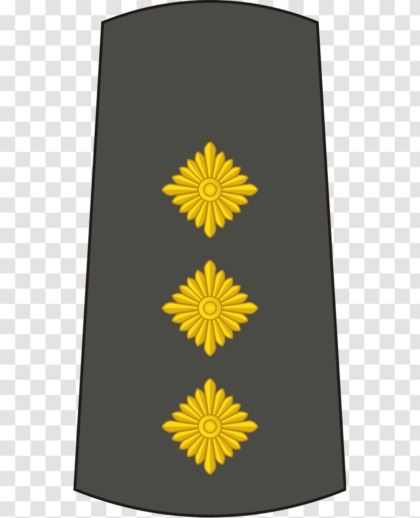 Lieutenant General Colonel Captain Major - Military Rank - Army Transparent PNG