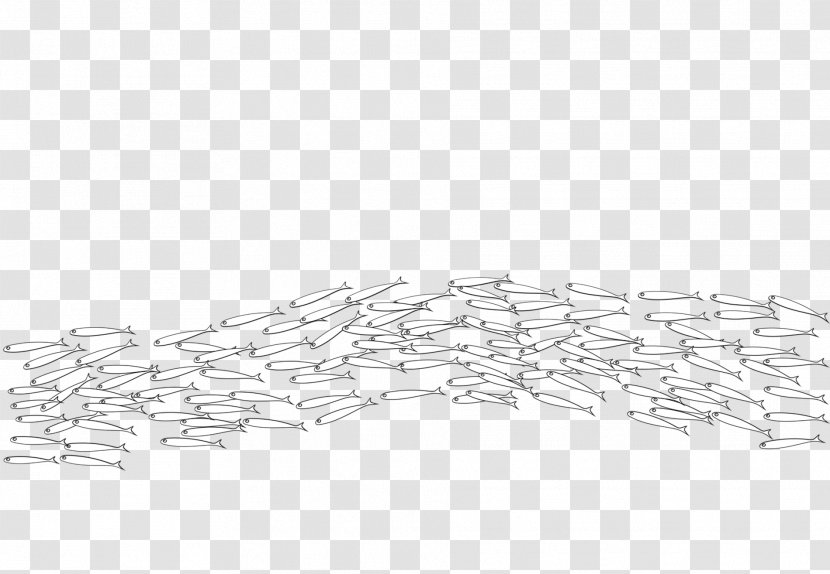 Line Point Angle - Art Transparent PNG