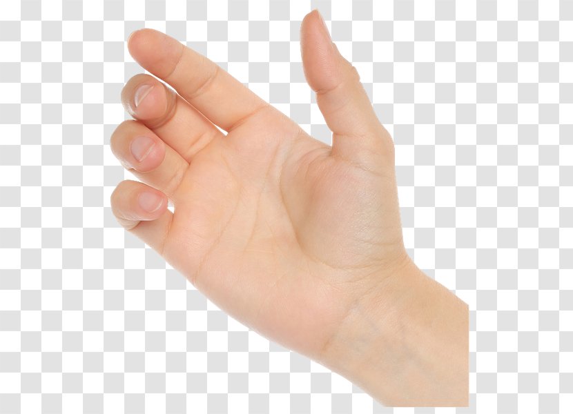 Hand Thumb Digit Wrist Photography - Arthritis Transparent PNG