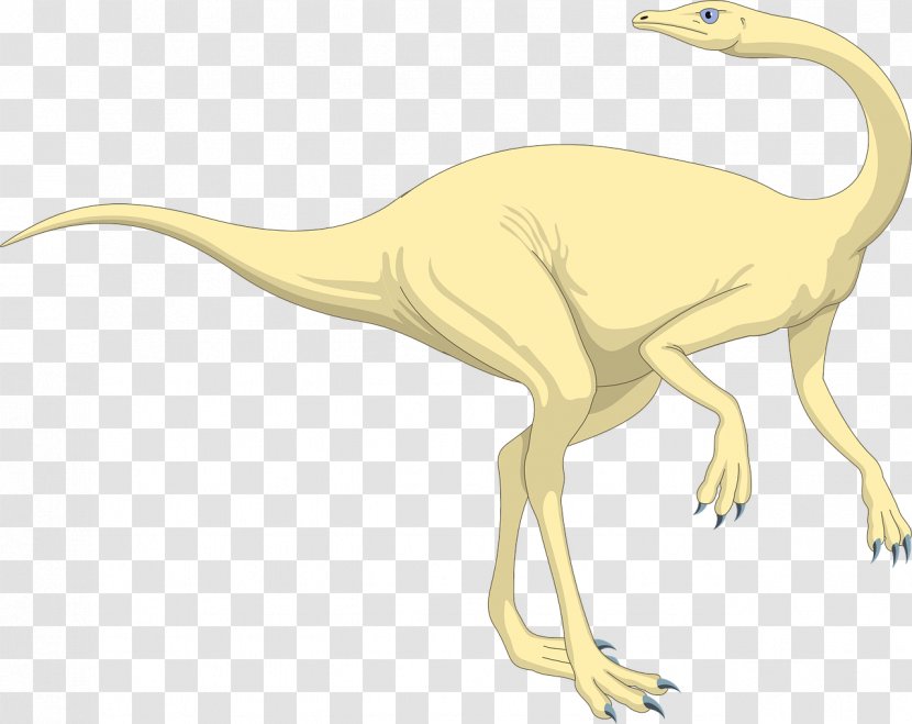 Velociraptor Reptile Tyrannosaurus Stegosaurus Dinosaur - Carnivora Transparent PNG