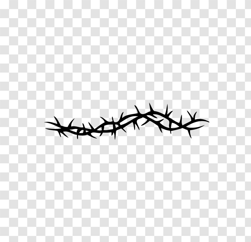 Thorns, Spines, And Prickles Rose Smoothie Line Barbed Wire - Trial - Branch Transparent PNG