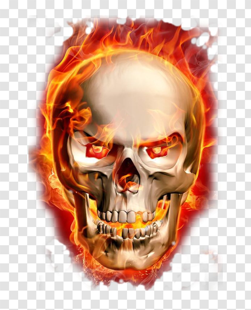 Burning Skeleton - Raster Graphics - Skull Transparent PNG