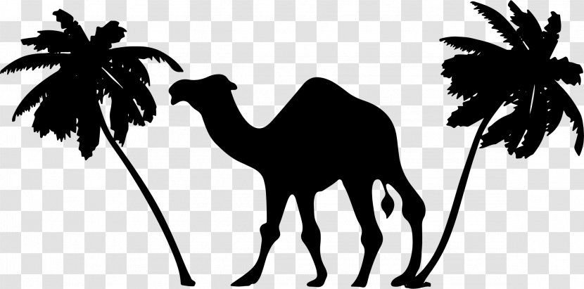 Abu Dhabi Logo Clip Art - Horse - Camel Transparent PNG