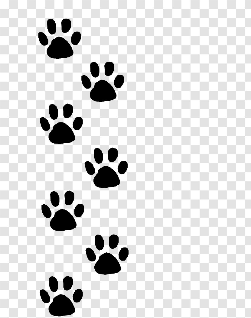 Dog How You Do Anything Is Everything Cat Puppy Pet - Animal Track Transparent PNG