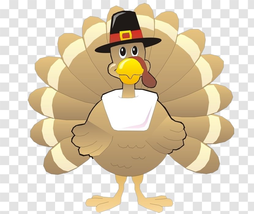 Turkey Cartoon - Color - Wearing A Hat Transparent PNG