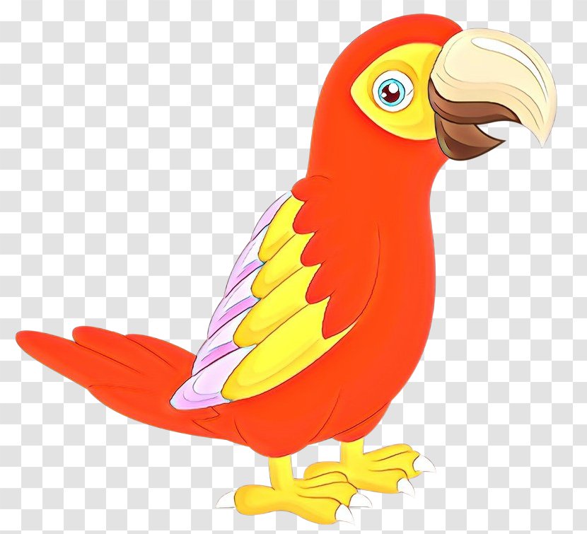 Macaw Beak Feather Cartoon Animal - Bird Transparent PNG
