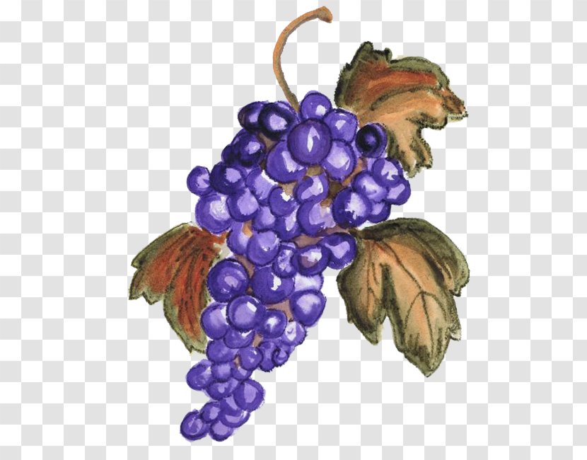 Grape RGB Color Model - Violet Transparent PNG